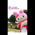 【女子ゴルファーをマイメロ全力応援！】マイナビネクストヒロインゴルフツアー第8戦 Sanrio Smile Golf Tournament #Shorts