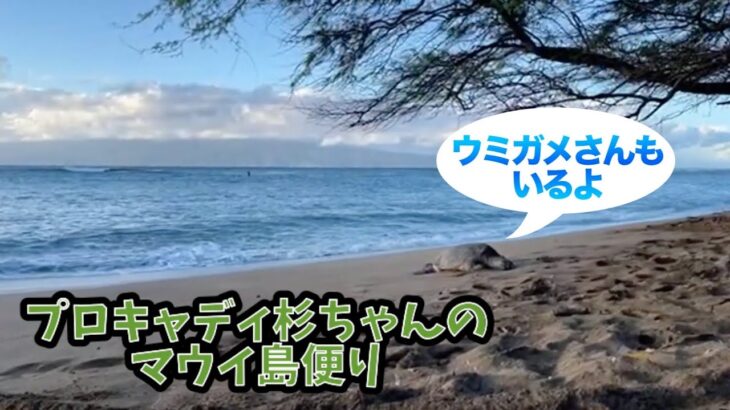 2022年PGAツアー開幕戦が行われるハワイマウイ島の雰囲気【Sentry Tournament of Champions】【ハワイ・マウイ島】
