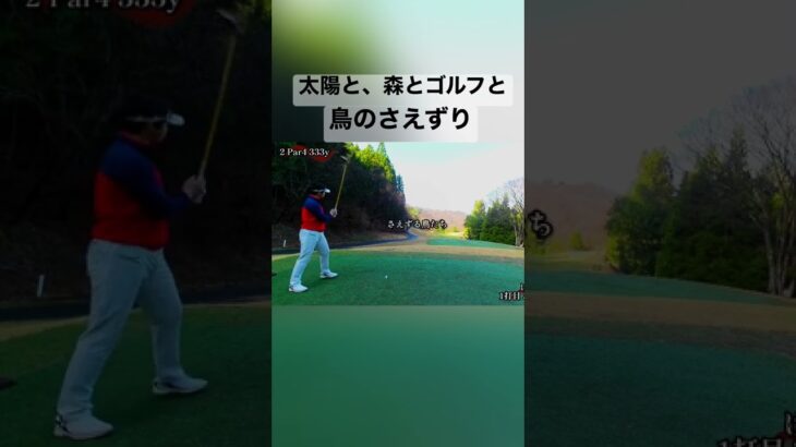 ゴルフはいいよなぁ… #golf#フルスイング#全力#ラウンド動画投稿してます