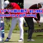 ゴルフスイングの下半身の動き（スライス防止、飛距離アップ）⛳️lower body movement in the golf swing☄️골프 스윙의 하체 움직임 🦅Slow Motion