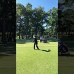 #golf #shorts #swing #ゴルフ女子