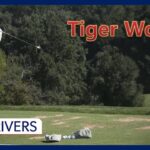 見るだけでも役立つスイング教本「タイガーウッズ」練習スイングモーション＆スローモーション,Tiger WoodsWarm-up Swing Motion & Slow Motion