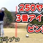 副田裕斗プロが「夫婦でゴルフ」に参戦してくれました‼️  #7  シーダーヒルズカントリークラブ
