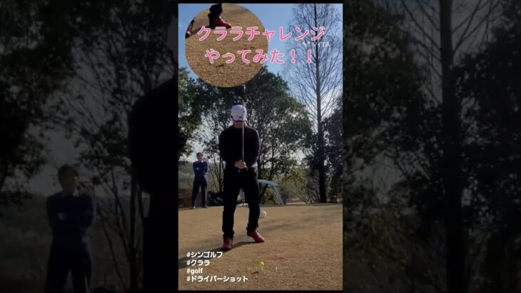 クララチャレンジ！！　レベルスイングに挑戦！　 #golf #シンゴルフ #クララ #アベレージゴルファー