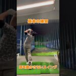 【ゴルフ基本】イメージしたスイングをすること飛んでいくボールは置いといて確認してみた【ゴルフスイング】