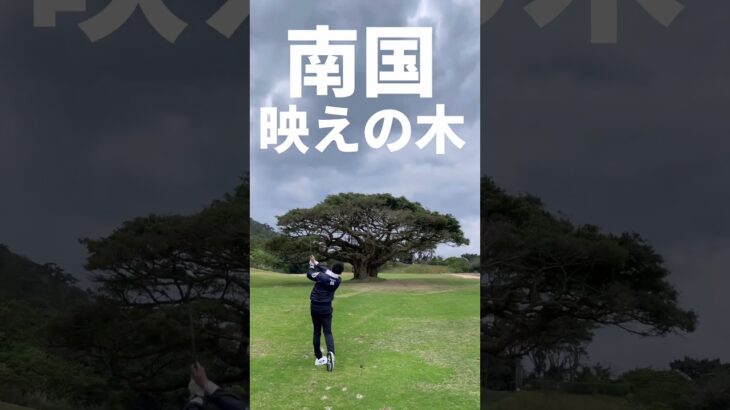【映えスポット】ゴルファーにはたまらない南国の映えゴルフだった件【沖縄】【インスタ映え】