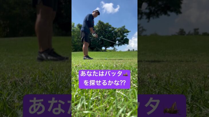 ゴルフ# ゴルフスイング #なぞなぞ #shorts#shortsYouTube#ゴルフレッスン#探せるかな？？